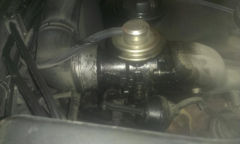 2015-12-01 22.02.25.jpg