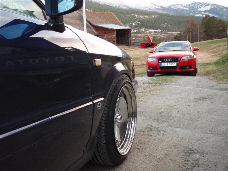 P5030624 (Medium).JPG