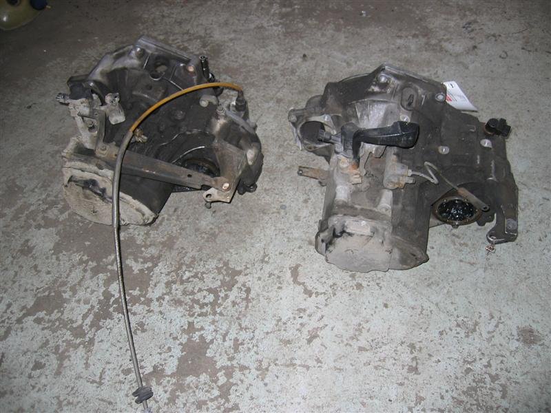 IMG_5891 (Medium).JPG