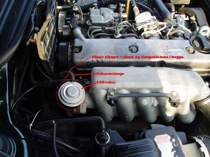 P5100007 (Medium).JPG