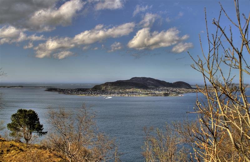 IMG_1822_3_1 (Medium).jpg