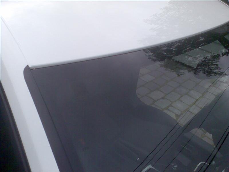 Bilde260 (Medium).jpg