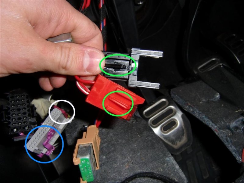 CIMG0283 (Large).JPG