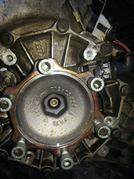 12399393_731126957024502_2136937069_n (1).jpg