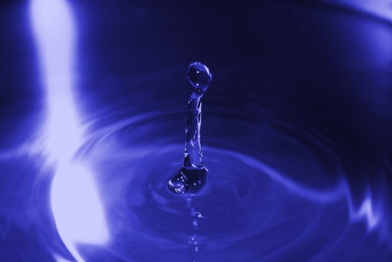 IMG_7962 [1024x768].JPG