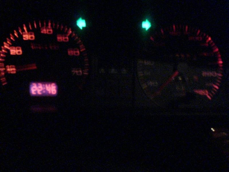 DSC00431 (Medium).JPG