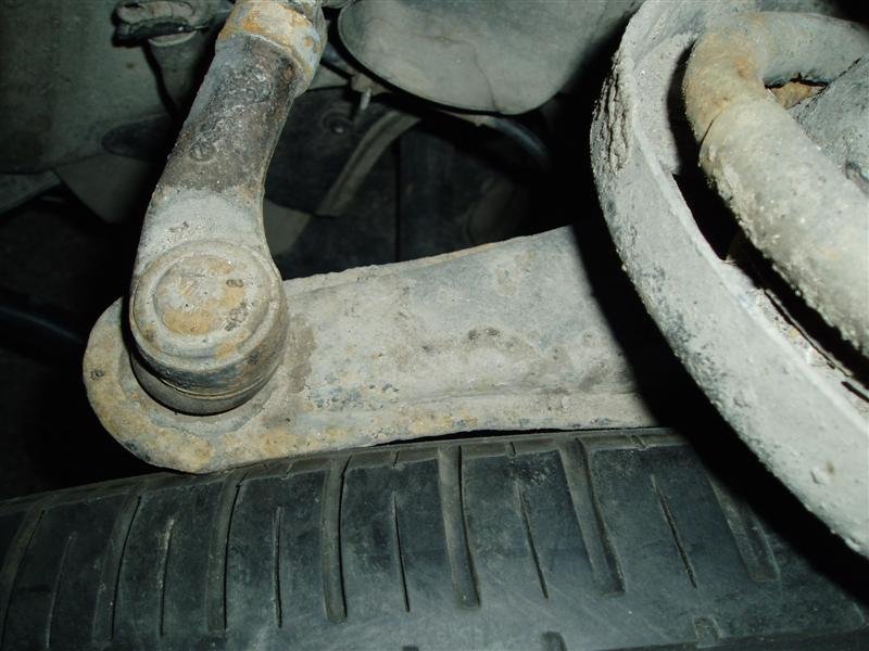 P5080044 (Medium).JPG