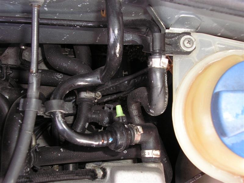 P1010678 (Medium).JPG