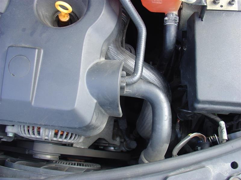 DSC03195 (Medium).JPG