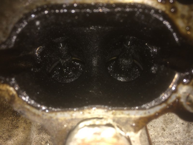 2016-01-13 12.07.07.jpg