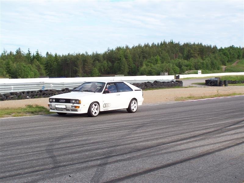 100_0995 (Medium).jpg