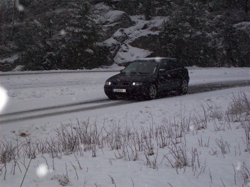 100_0012 (Medium).jpg