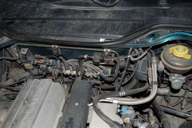 DSC_0007 (Medium).JPG