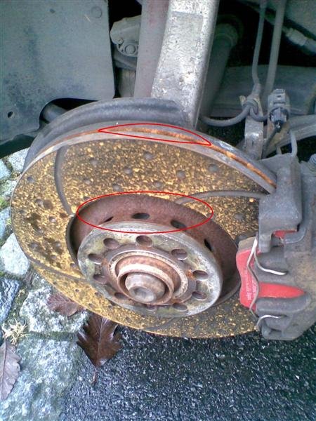 Bilde000red (Medium).JPG