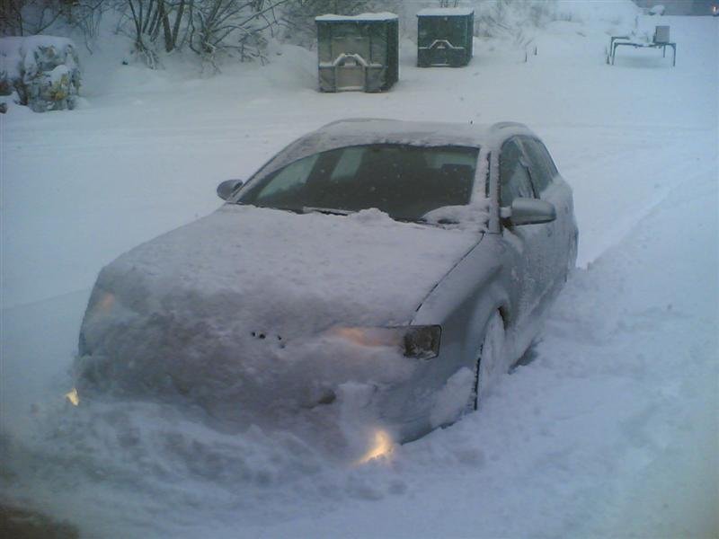 Bilde(304) (Medium).jpg