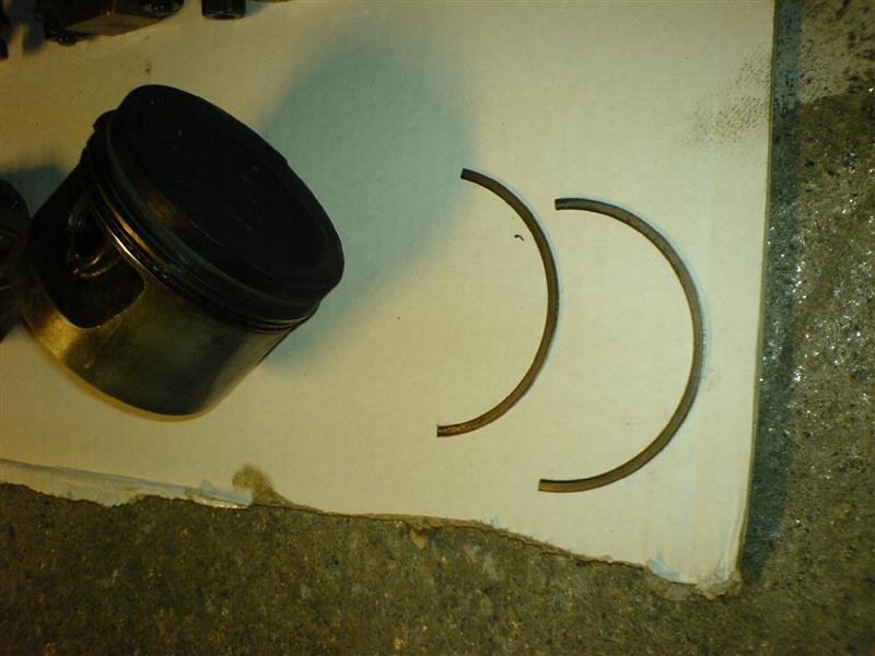 DSC01055 (Medium).JPG