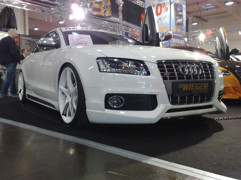 30112007004 (Medium).jpg