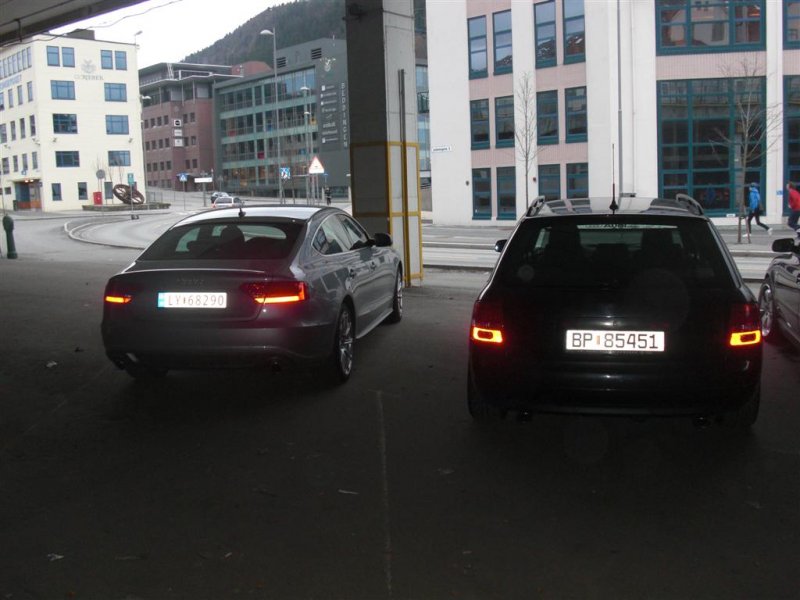 treff (4) (Large).JPG