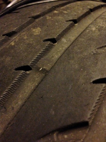 IMG_3577 (Medium).JPG