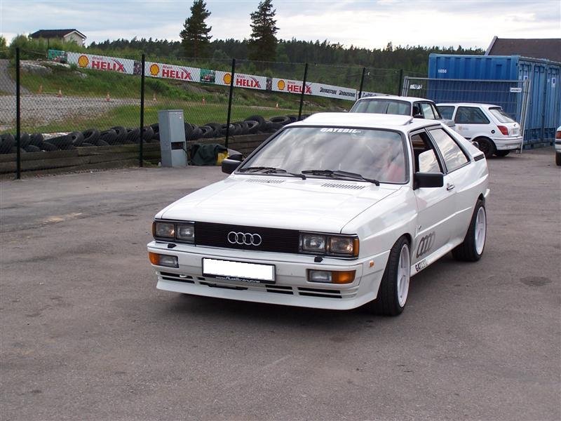 100_0934 (Medium).jpg