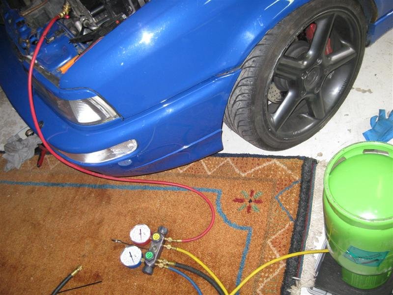 IMG_0402 (Medium).jpg