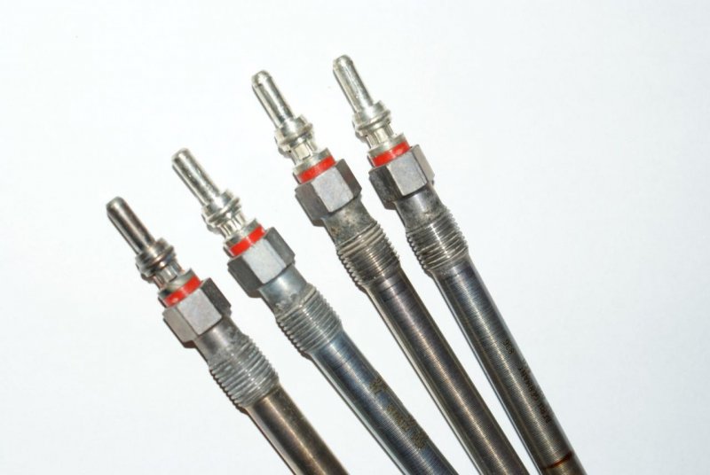 DSC06433 (Large).jpg