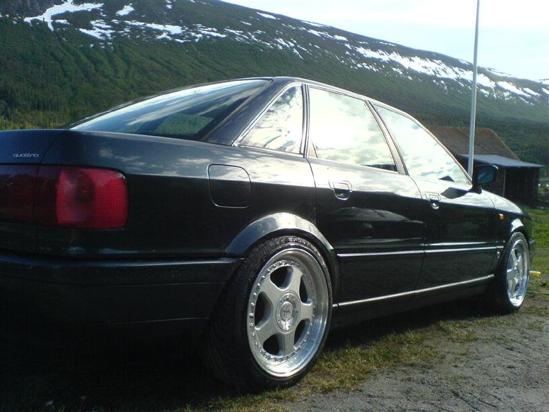 DSC01381 (Medium).JPG