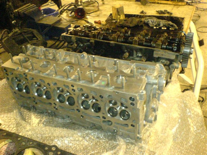 DSC01065 (Medium).JPG