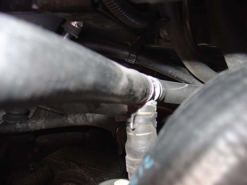 DSC03196 (Medium).JPG