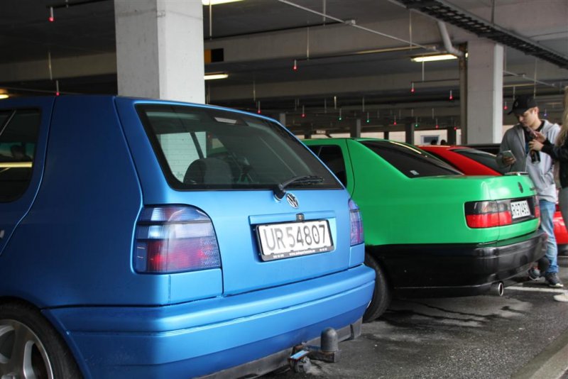 IMG_3323 (Large).JPG