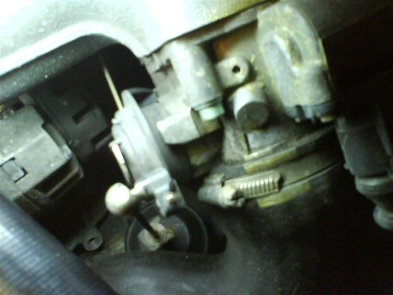 DSC00422 (Medium).JPG