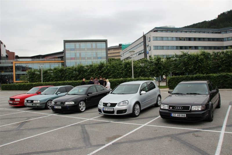 IMG_2376 (Large).JPG