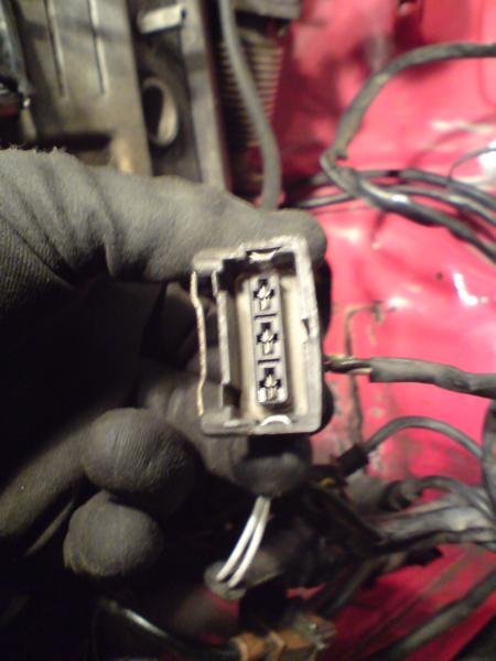 importer 219_450x600.JPG