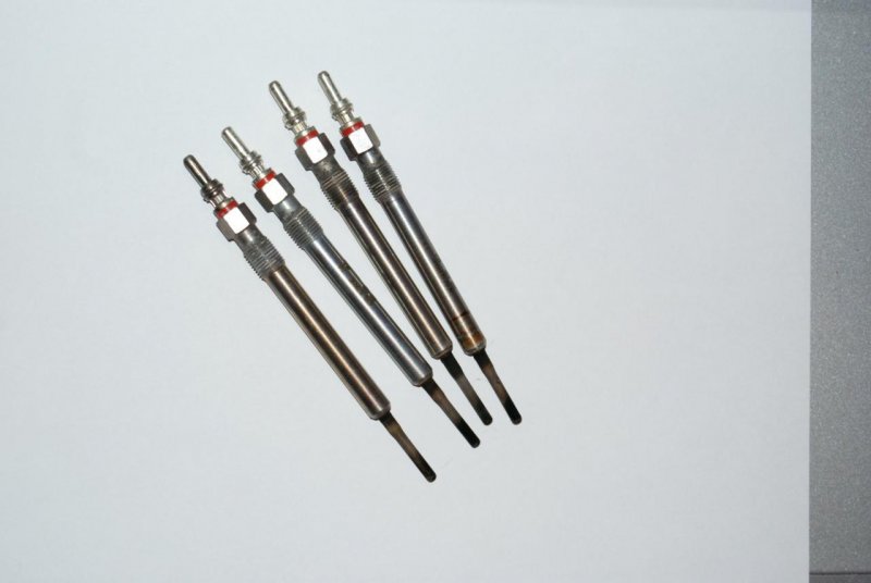 DSC06431 (Large).jpg