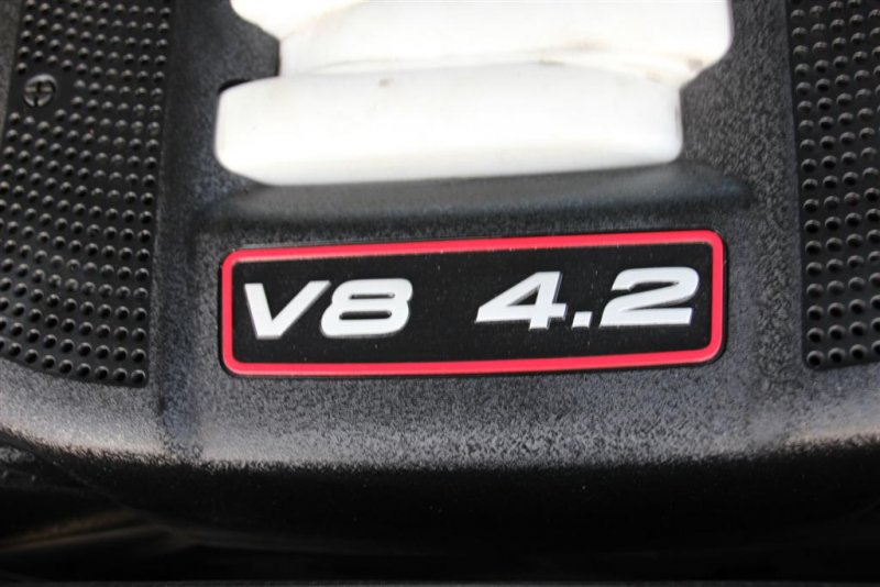 IMG_1831 (Large).JPG