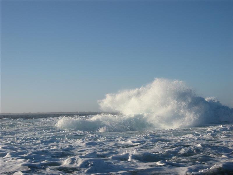 IMG_1762 (Medium).jpg