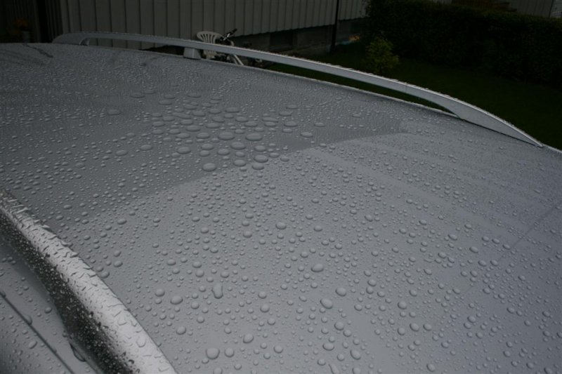 Passat_ 025 (Large).jpg