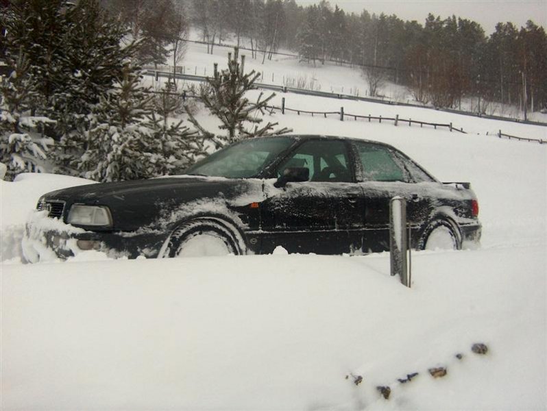 HPIM1010 (Medium).JPG