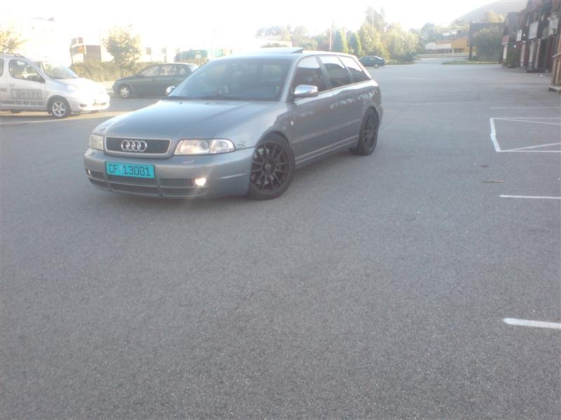 DSC00227 (Medium).JPG