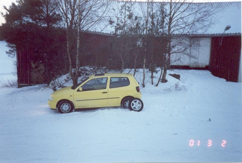 Første bilde av Poloen1.JPG