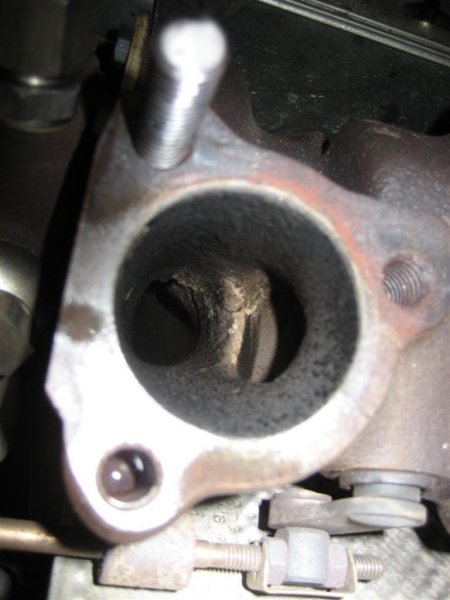 IMG_0833 (Large).JPG