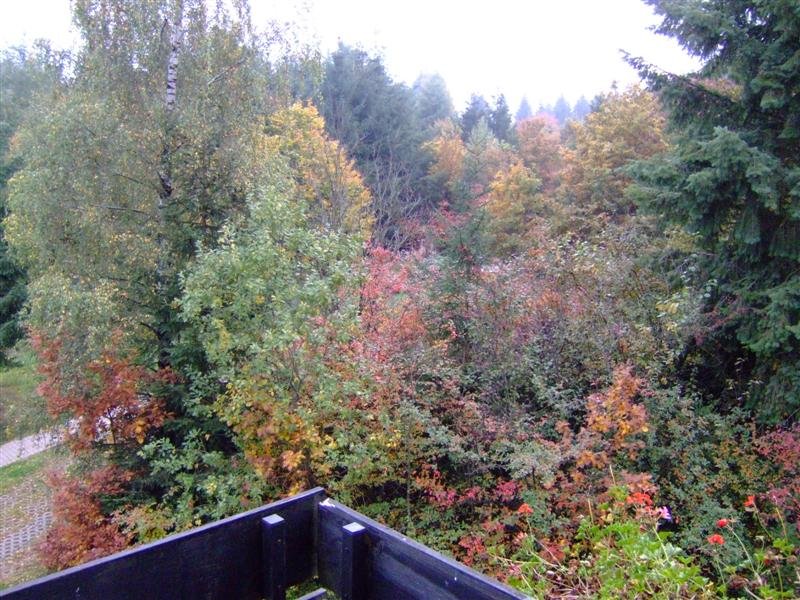 Div0112 (Medium).JPG