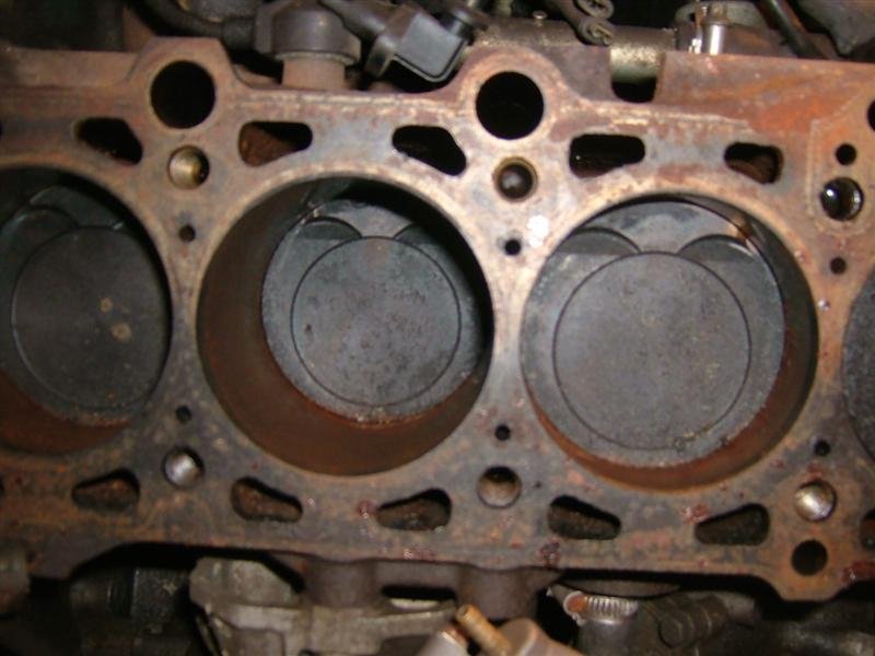 DSCF1413 (Medium).JPG