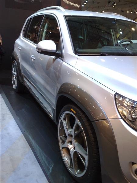 30112007047 (Medium).jpg