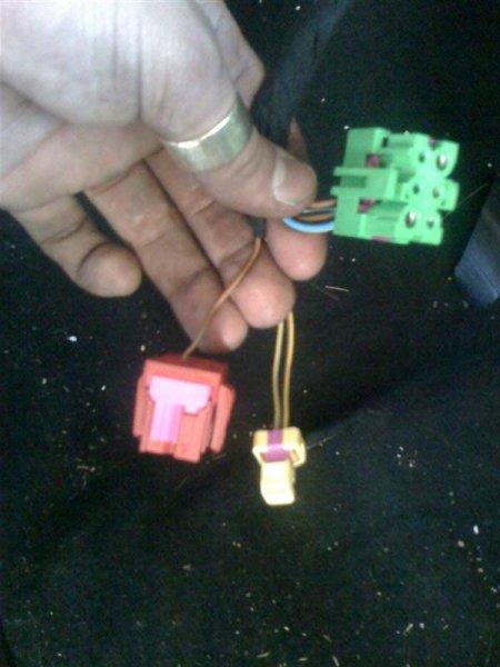 El seter 003 (Medium).jpg