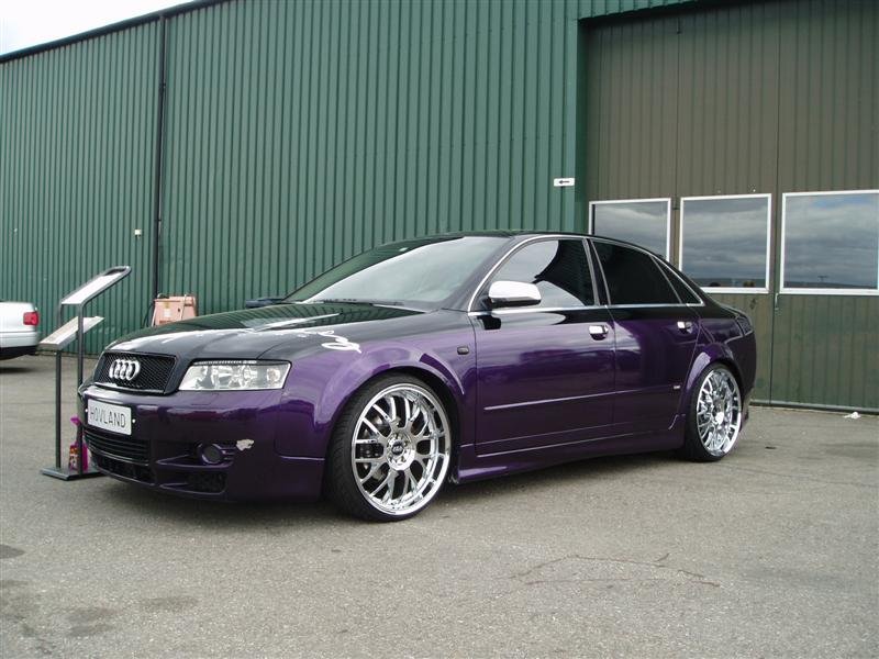 P6040082 (Medium).JPG