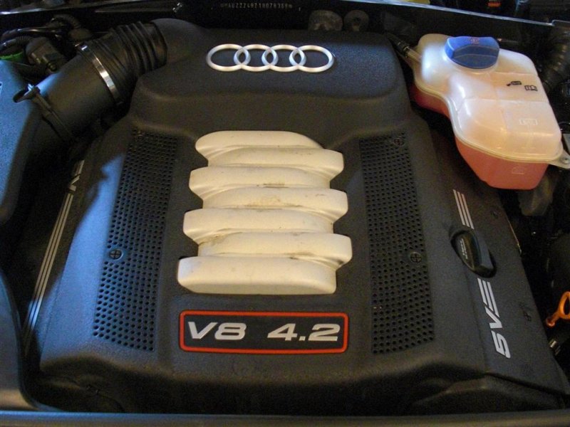 V8 (Large).JPG
