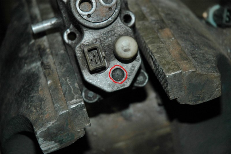 DSC_7899 (1024 x 681).jpg