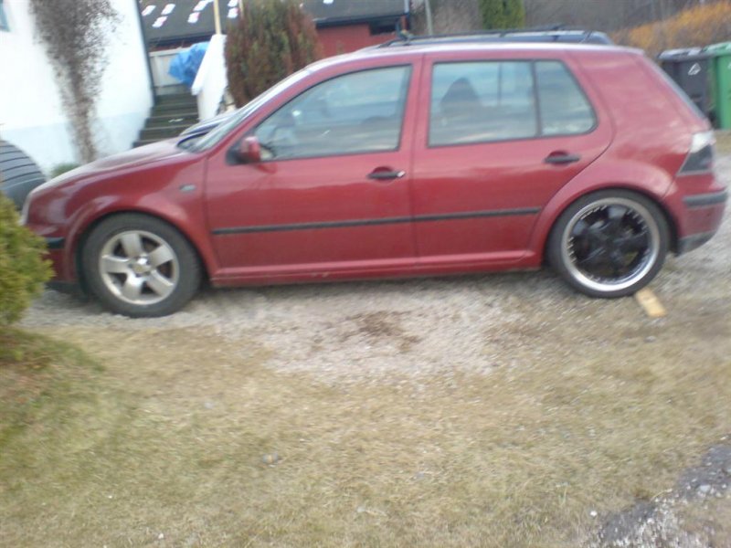 DSC00668 (Large).JPG