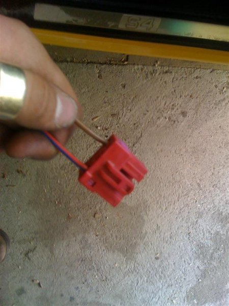 El seter 001 (Medium).jpg